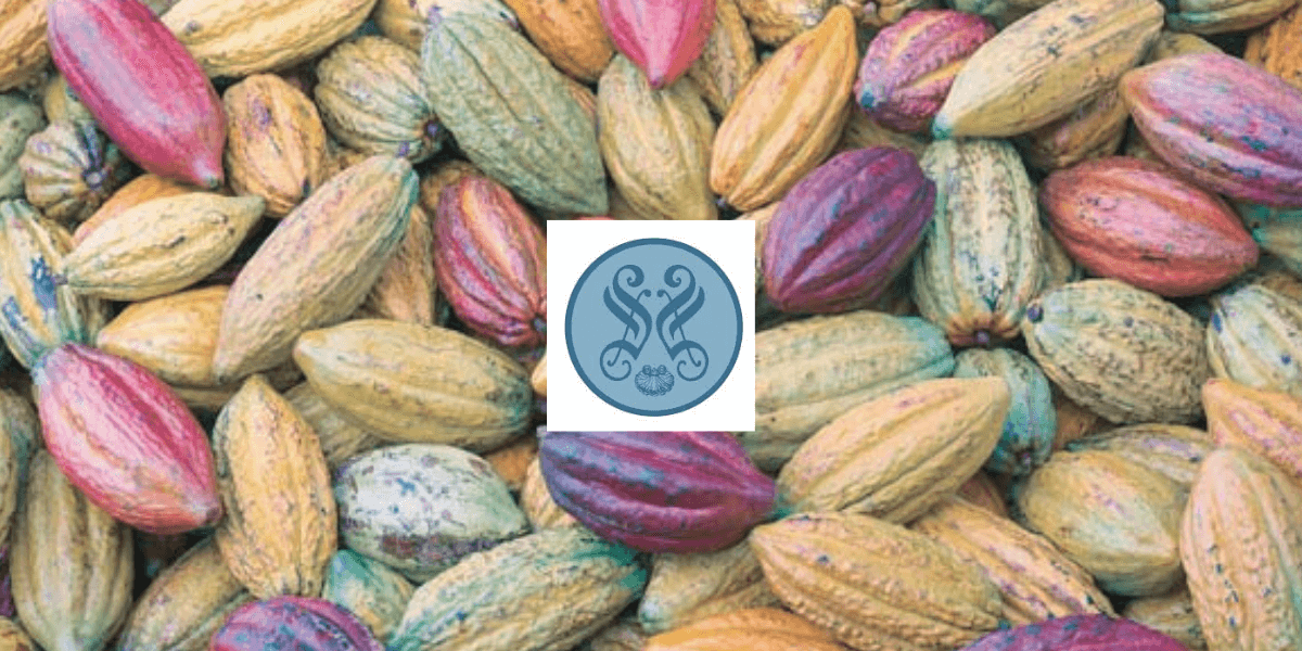 Shane Confectionery | Adagio Chocolates